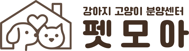 펫모아
